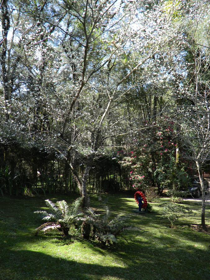Recanto Dos Kerr Monte Verde  Εξωτερικό φωτογραφία
